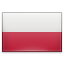 shiny Poland icon